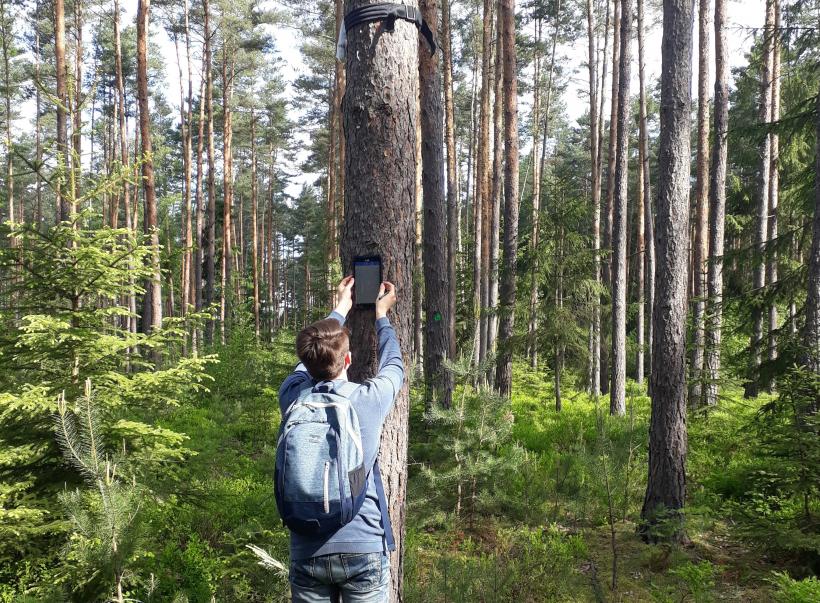 Studierender bei der praktischen Citizen-Science-Arbeit im Wald